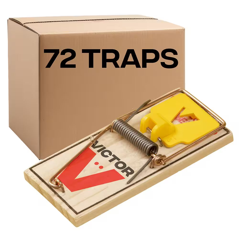 Easy Set Mouse Trap (72-Pack)